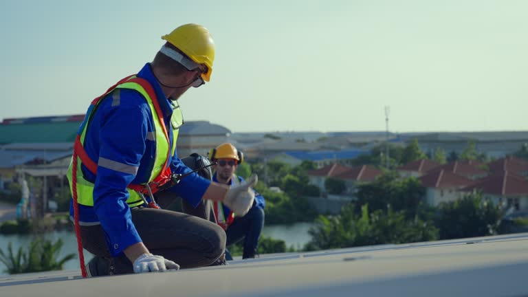 Best Steel Roofing  in Roselle, IL